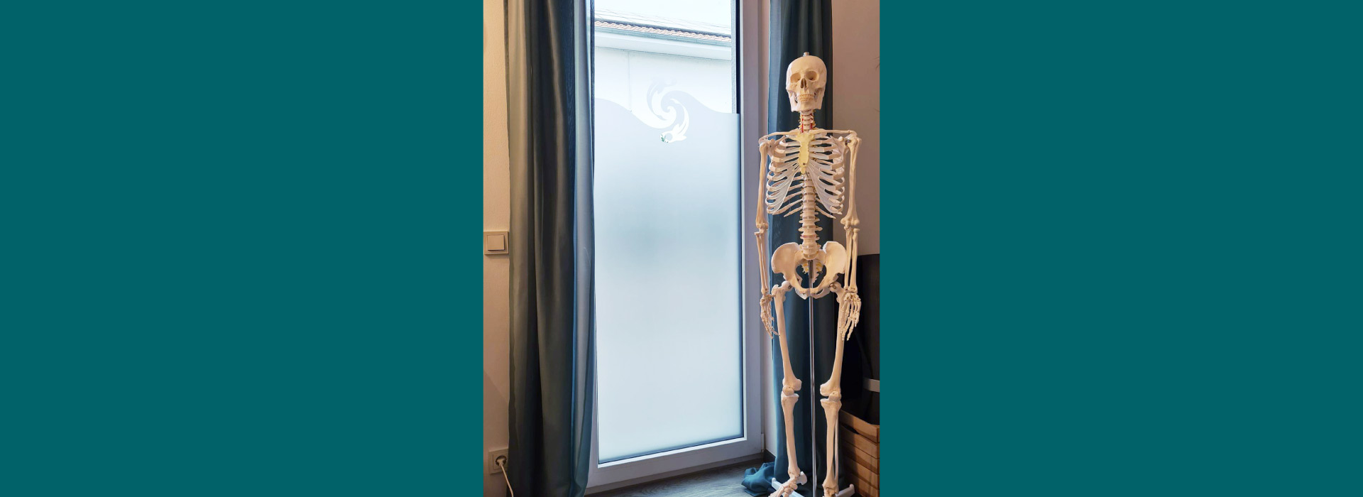 Praxisraum, Fenster, Skelett-Modell